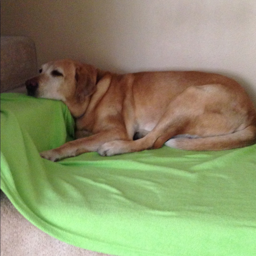 Meet your Posher, Luz